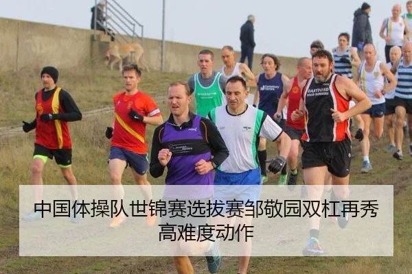 中国体操队世锦赛选拔赛邹敬园双杠再秀高难度动作