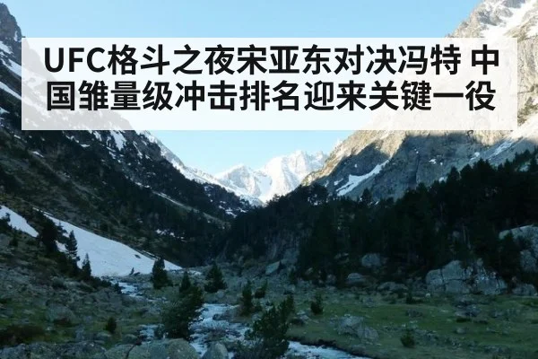 UFC格斗之夜宋亚东对决冯特 中国雏量级冲击排名迎来关键一役